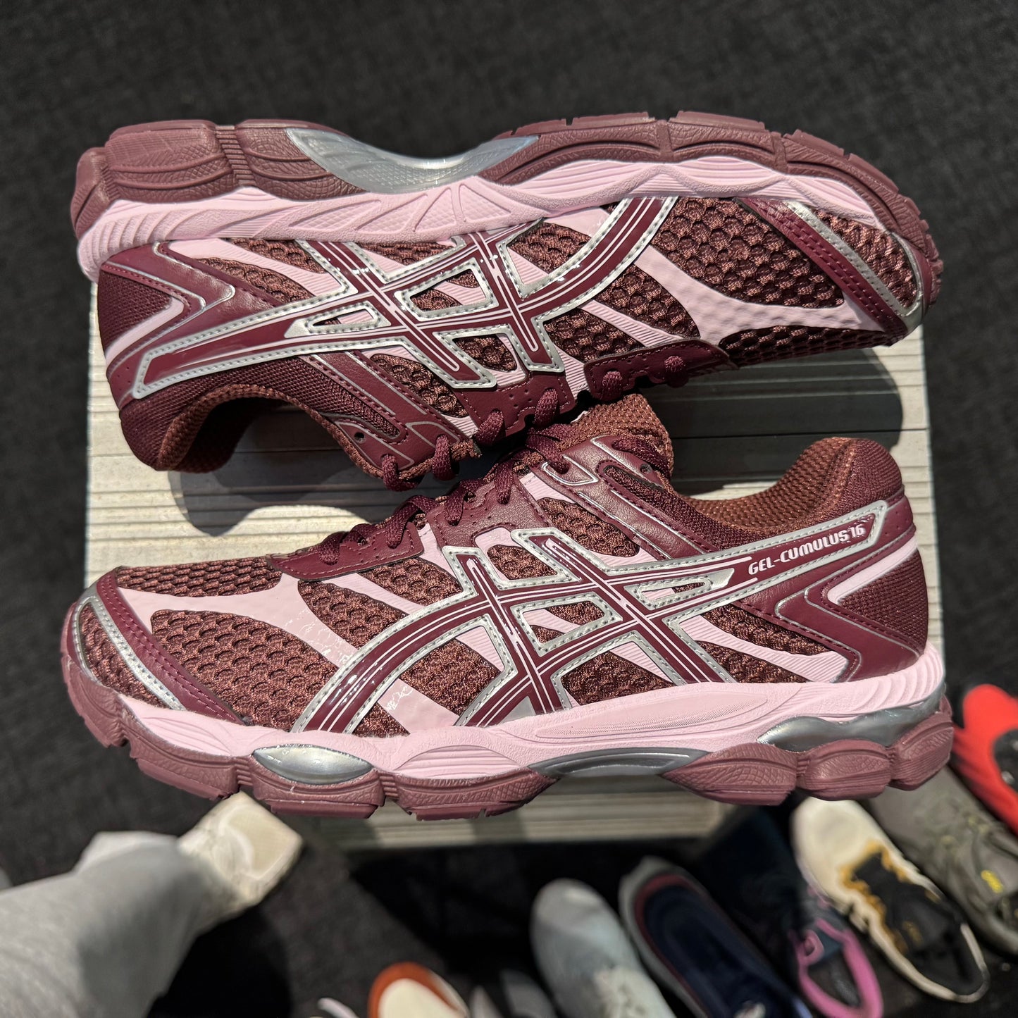 Asics Gel-Cumulus 16 Port Royal (Brand New)
