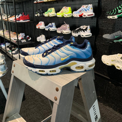 Nike Air Max Plus 'TN' Bayside 2.0 (W) (Second hand)