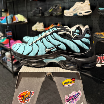 Nike Air Max Plus 'TN' Dark Tiffany (Second hand)