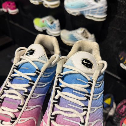 Nike Air Max Plus TN 'Rainbow' (Second hand)