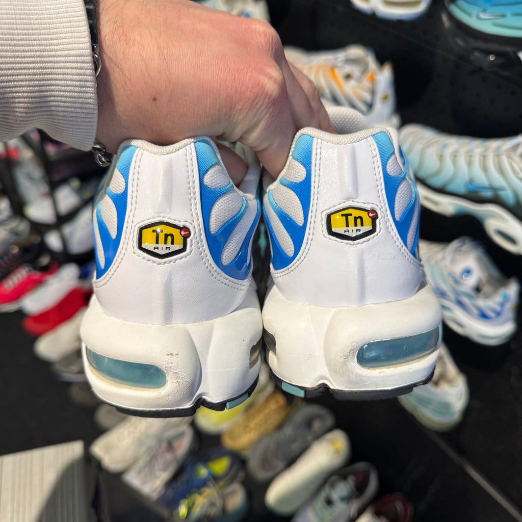 Nike Air Max Plus TN 'Dream' (Second hand)