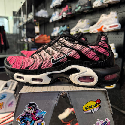 Nike Air Max Plus TN 'All Day' (Second hand)