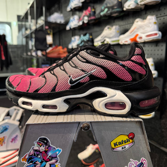 Nike Air Max Plus TN 'All Day' (Second hand)