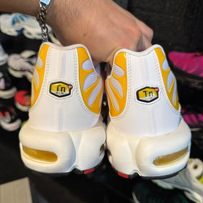 Nike Air Max Plus TN 'Sunburn' (Brand New)