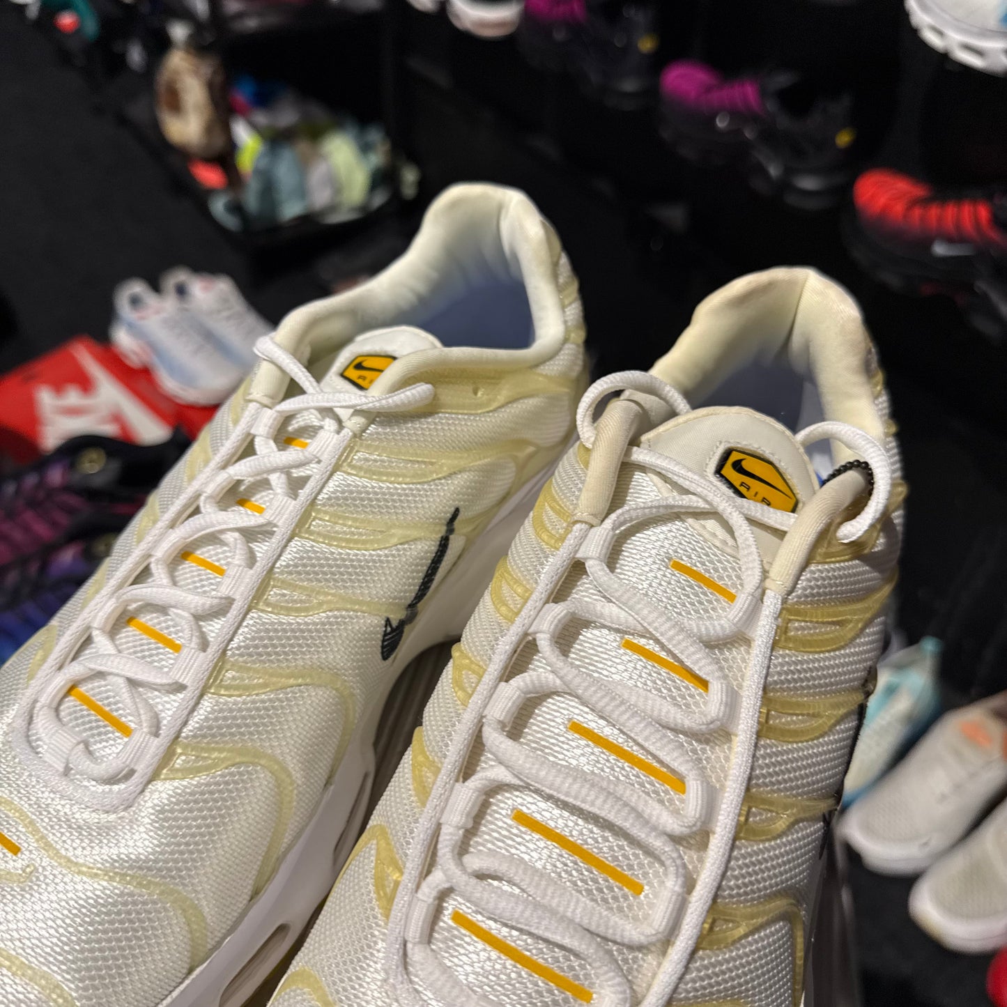 Nike Air Max Plus 'TN' Frank Rudy (Brand New)