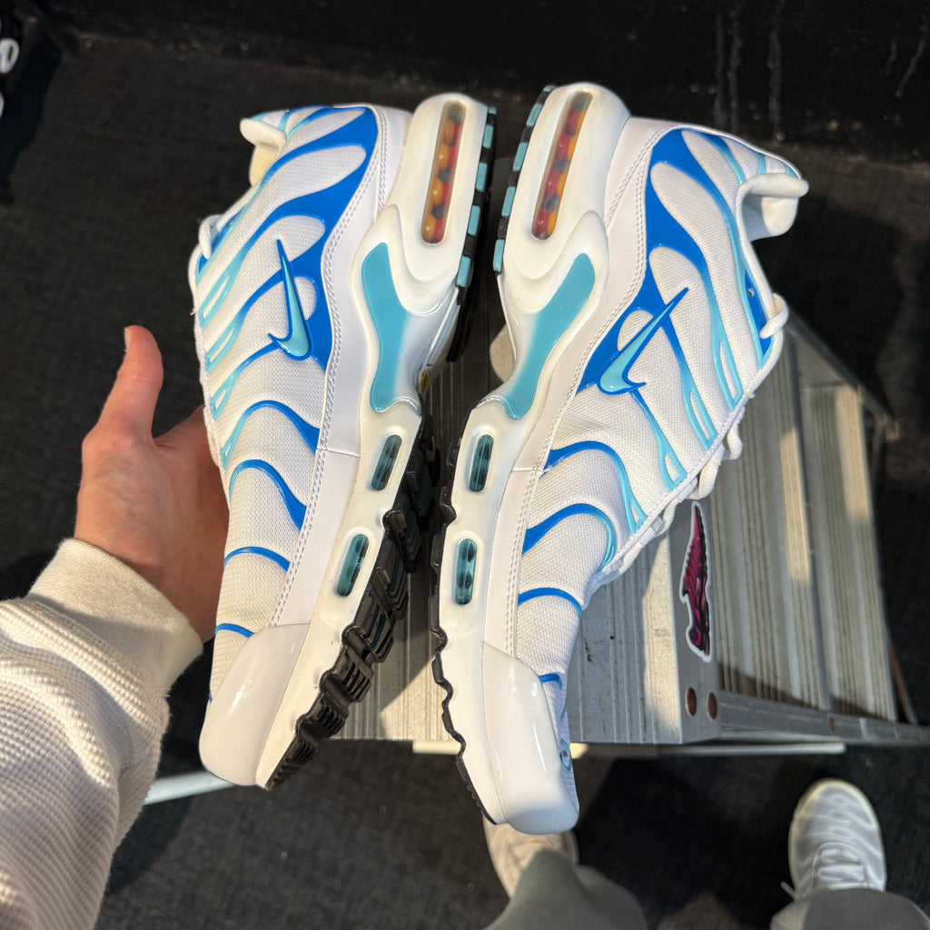 Nike Air Max Plus TN 'Dream' (Second hand)