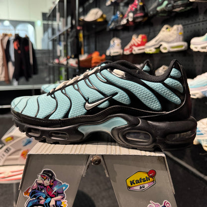 Nike Air Max Plus TN 'Dark Tiffany' (Second hand)
