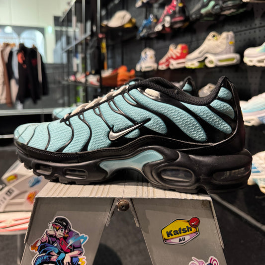 Nike Air Max Plus TN 'Dark Tiffany' (Second hand)