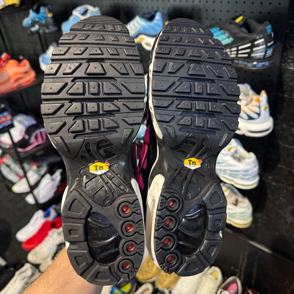 Nike Air Max Plus TN 'Dusk' (Brand New)