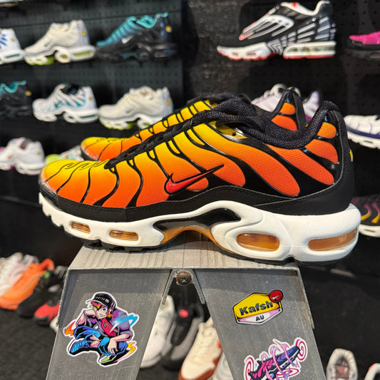 Nike Air Max Plus TN 'Tiger' (Second hand)