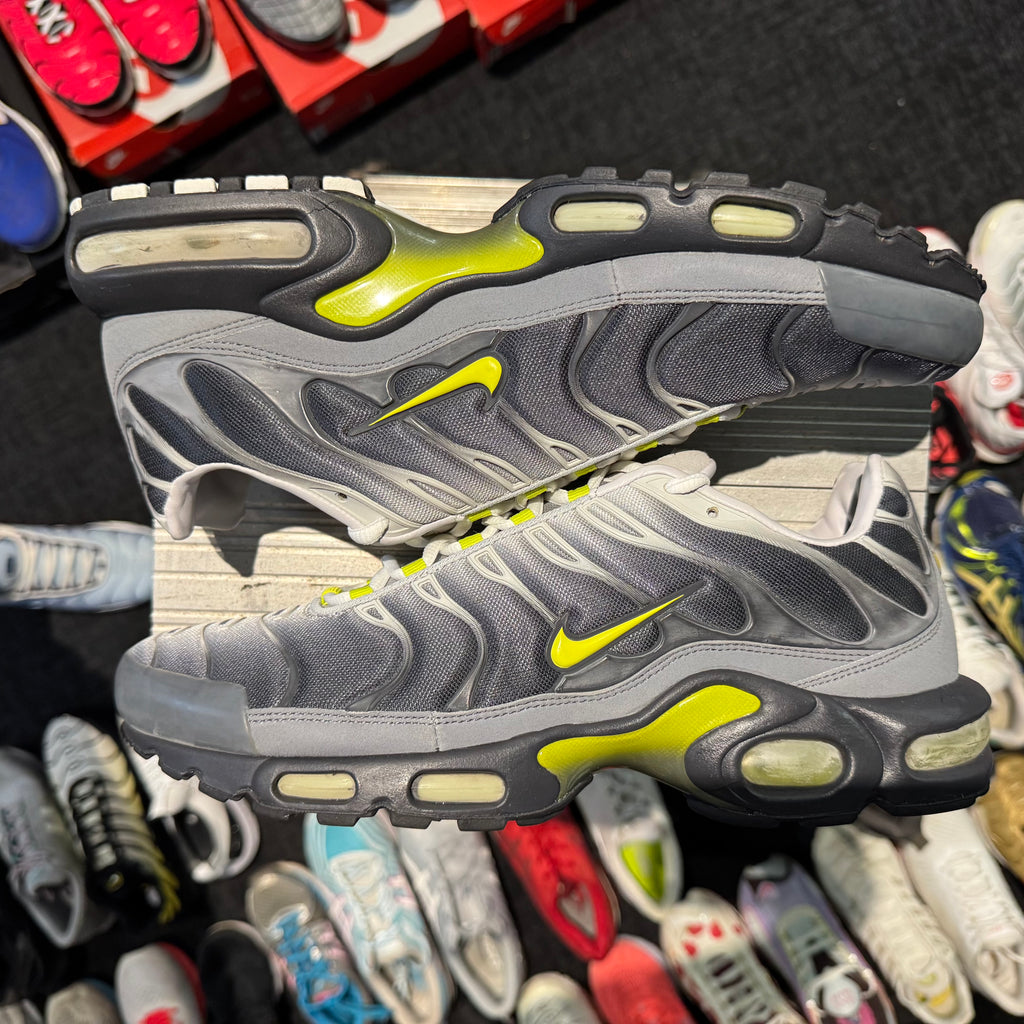 Nike Air Max Plus TN (2007) 'Dusty Cactus' (Brand New)
