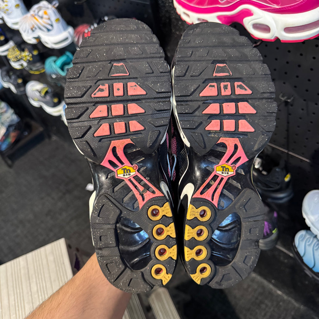 Nike Air Max Plus TN 'All Day' (Second hand)