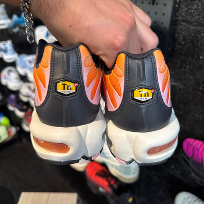 Nike Air Max Plus TN 'Sherbet' (Brand New)