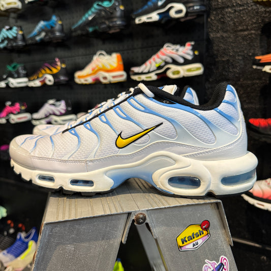 Nike Air Max Plus 'TN' Poseidon (Second hand)