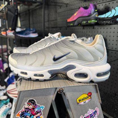 Nike Air Max Plus TN 'Smoke Grey Ashen Slate' (Second hand)