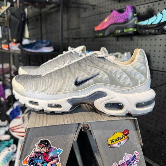 Nike Air Max Plus TN 'Smoke Grey Ashen Slate' (Second hand)