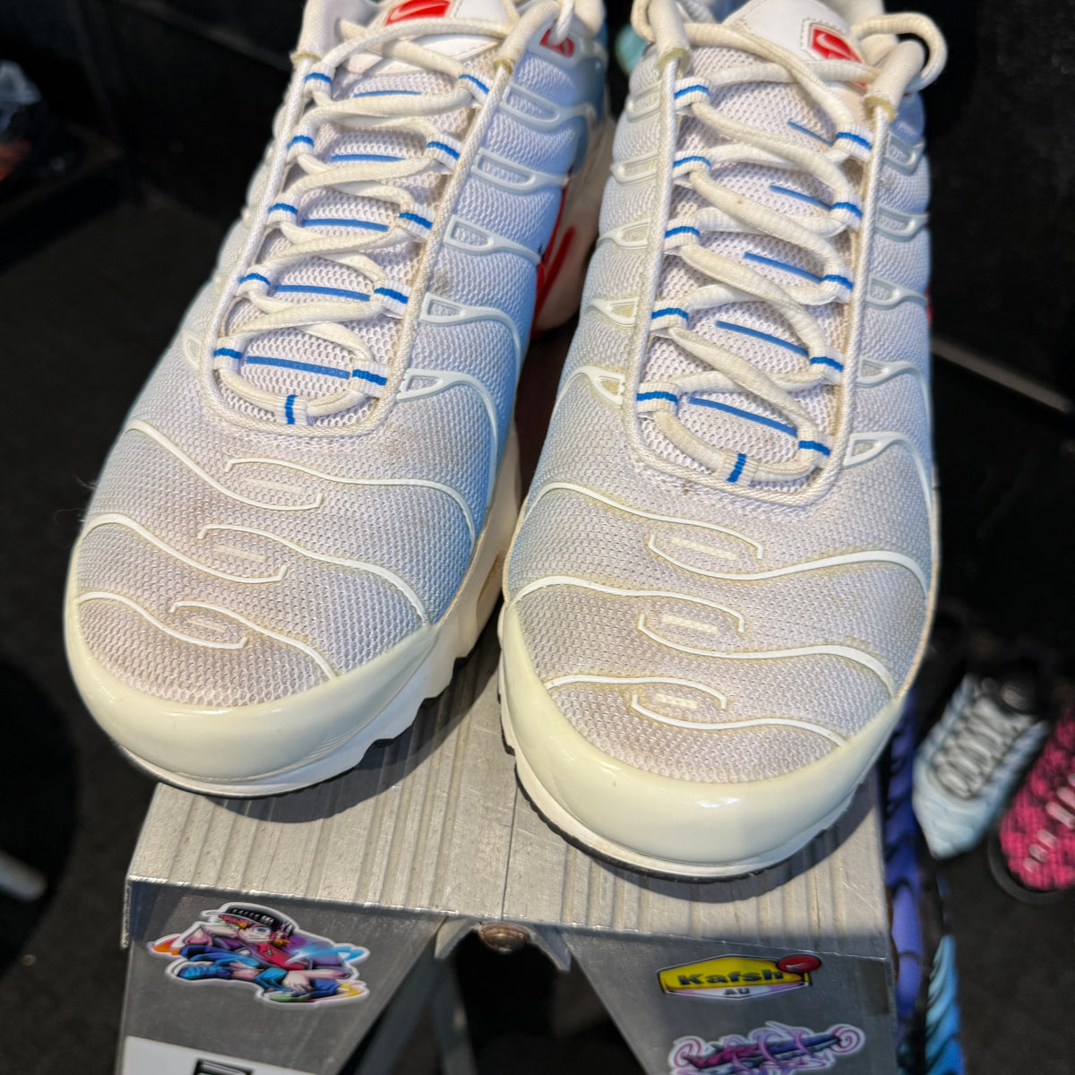 Nike Air Max Plus TN 'Tide' (Second hand)