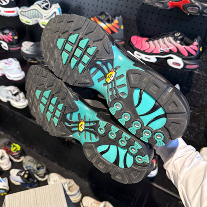 Nike Air Max Plus 'TN' Aqua Fade (Second hand)