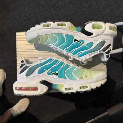 Nike Air Max Plus TN 'Dusty Cactus' (Second hand)