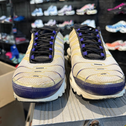 Nike Air Max Plus TN 'Grape Ice' (Second hand)