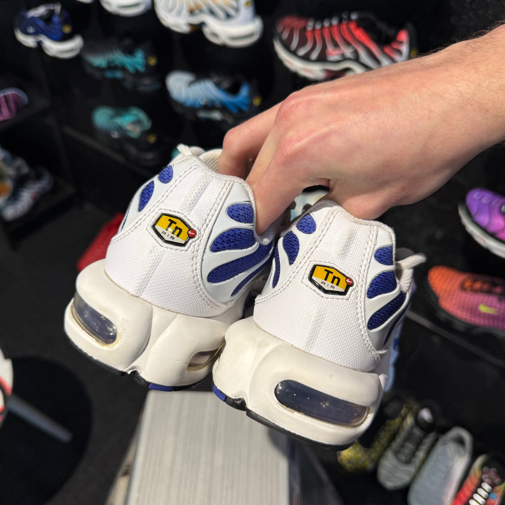 Nike Air Max Plus TN 'Wild Grape' (Second hand)