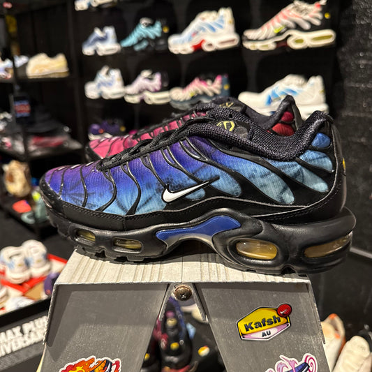 Nike Air Max Plus 'TN' 25th Anniversary (Brand New)