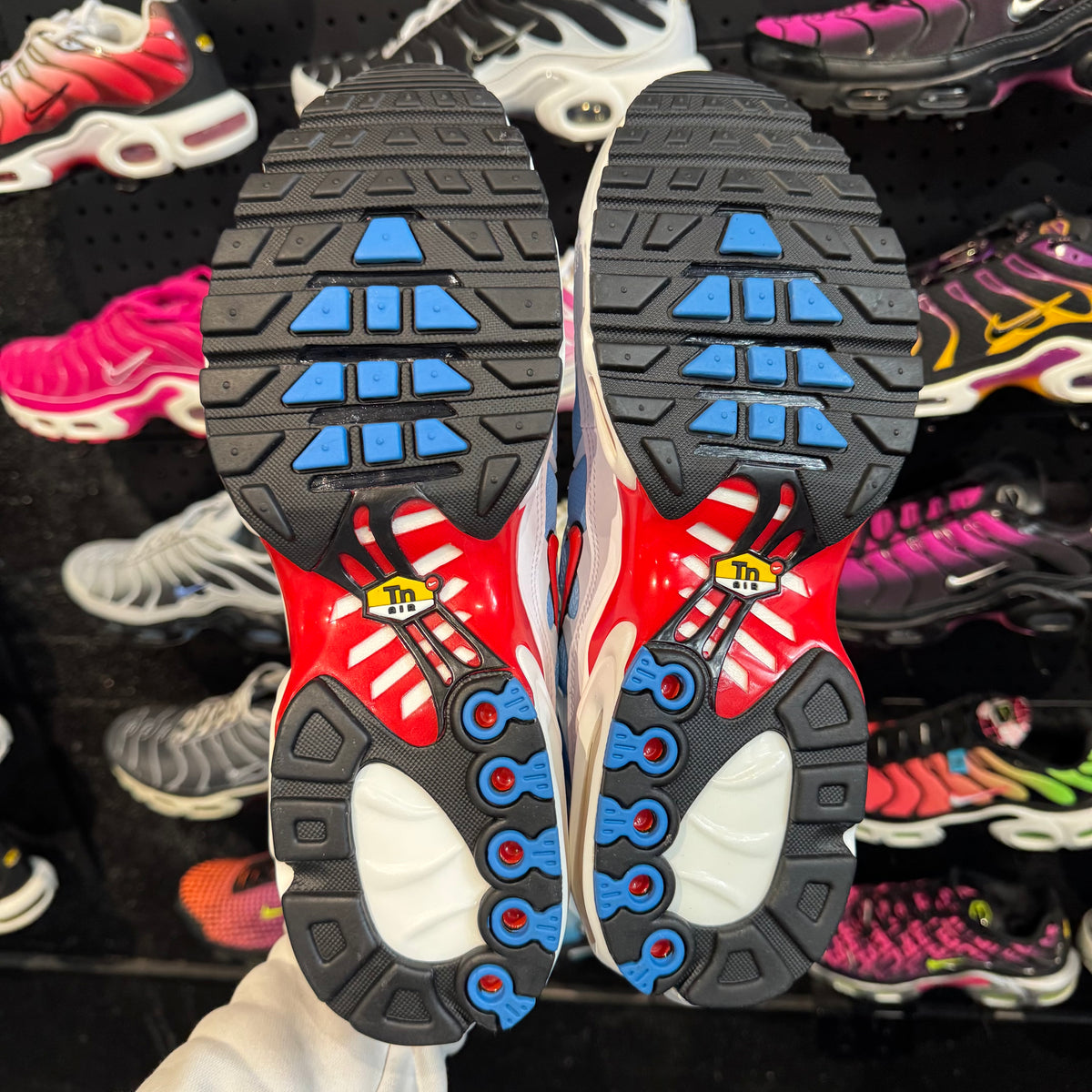 Nike Air Max Plus TN 'Tide' (Brand New)