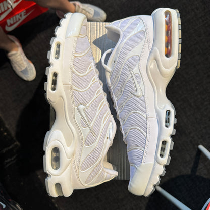 Nike Air Max Plus TN 'Casper' (Brand New)