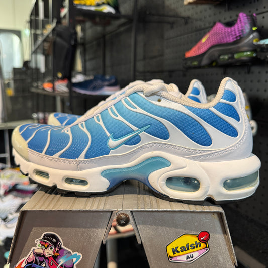 Nike Air Max Plus TN 'Battle Blue' (Second hand)