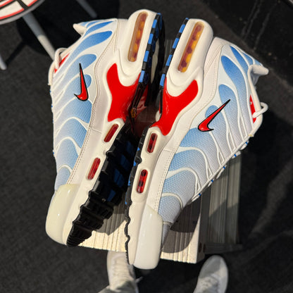 Nike Air Max Plus TN 'Tide' (Second hand)