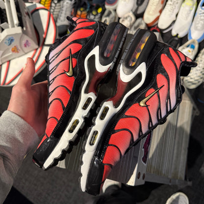 Nike Air Max Plus TN 'Sisterhood' (Second hand)