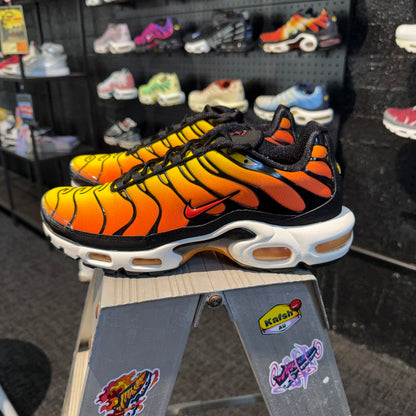 Nike Air Max Plus 'TN' Tiger (Second hand)