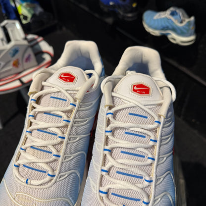 Nike Air Max Plus TN 'Tide' (Second hand)