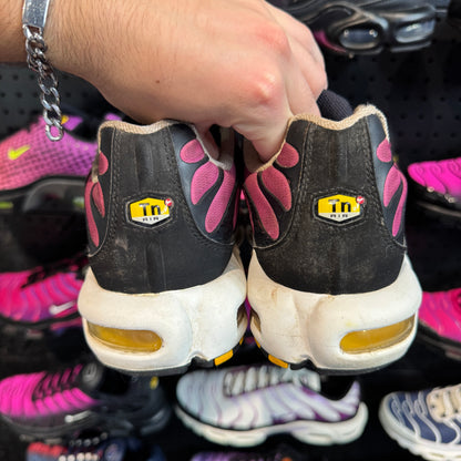 Nike Air Max Plus TN 'Rainbow' (Second hand)