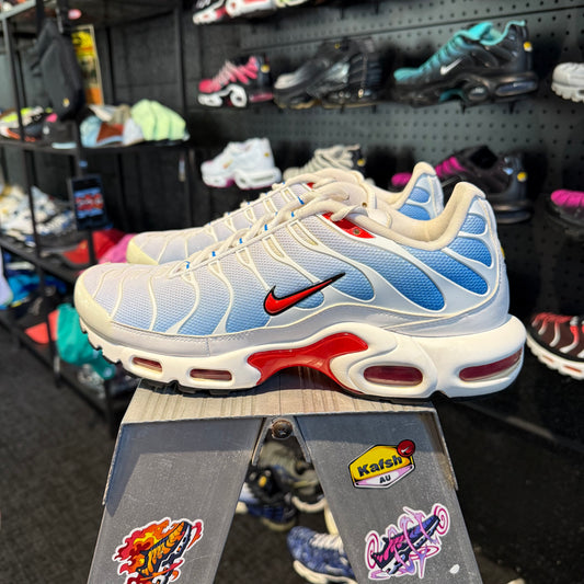Nike Air Max Plus 'TN' Tide (Second hand)