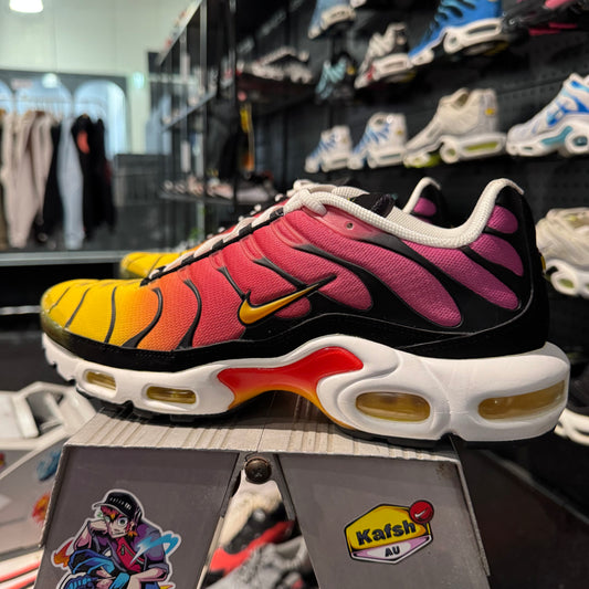 Nike Air Max Plus TN 'Rainbows' (Second hand)