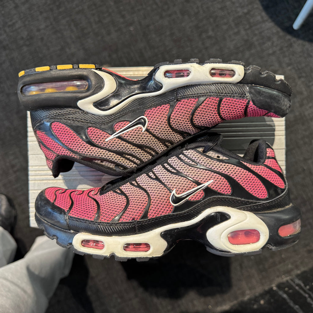 Nike Air Max Plus TN 'All Day' (Second hand)