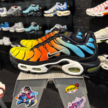 Nike Air Max Plus TN 'Impact' (Second hand)