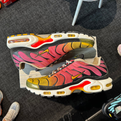Nike Air Max Plus TN 'Rainbow' (Second hand)