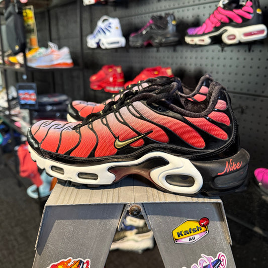 Nike Air Max Plus 'TN' Sisterhood (Second hand)