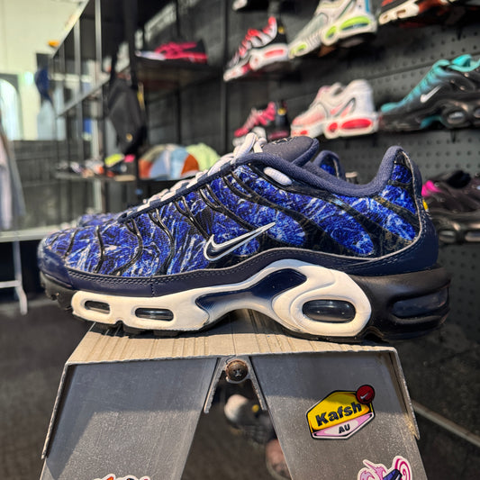 Nike Air Max Plus 'TN' Shattered Ice Midnight Navy (Second hand)