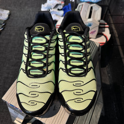Nike Air Max Plus TN 'Vapor Green Gradient' (Second hand)