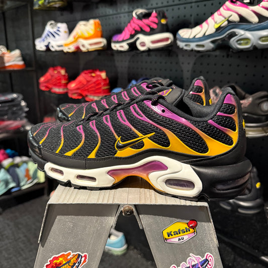 Nike Air Max Plus 'TN' Viotech Purple Gold (Second hand)