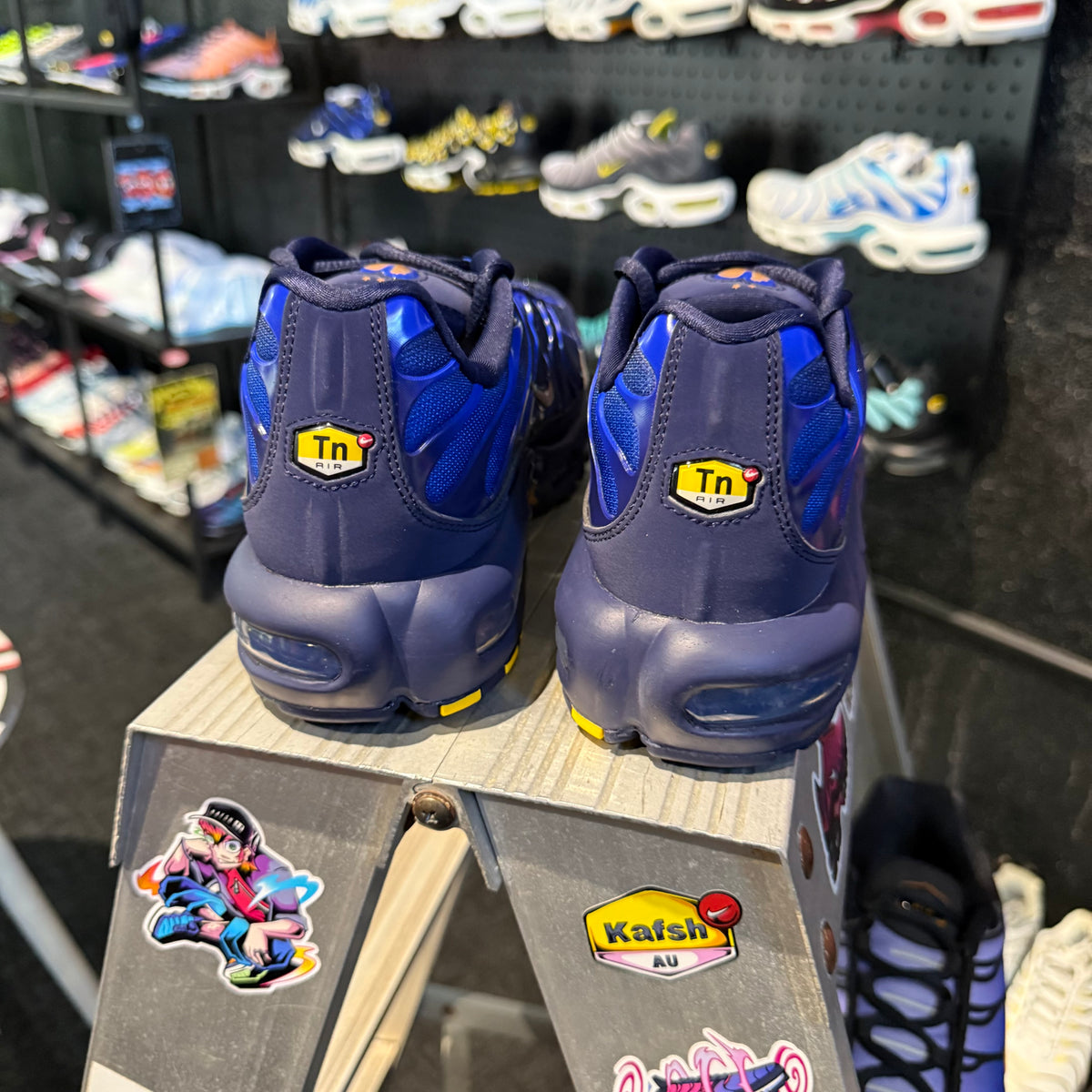 Nike Air Max Plus TN 'French Football Federation' (Brand New)