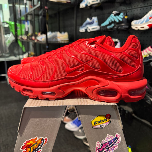 Nike Air Max Plus 'TN' Lava (Brand New)