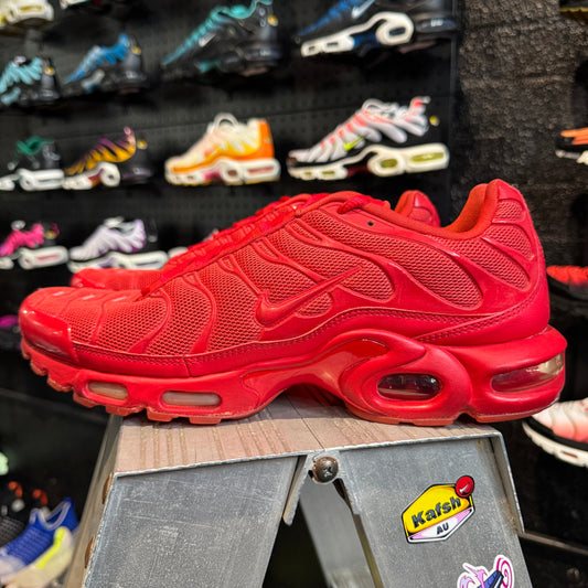 Nike Air Max Plus 'TN' Lava (2015) (Second Hand)