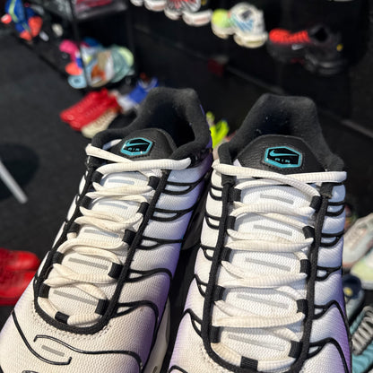 Nike Air Max Plus TN 'Reverse Grape' (Second hand)