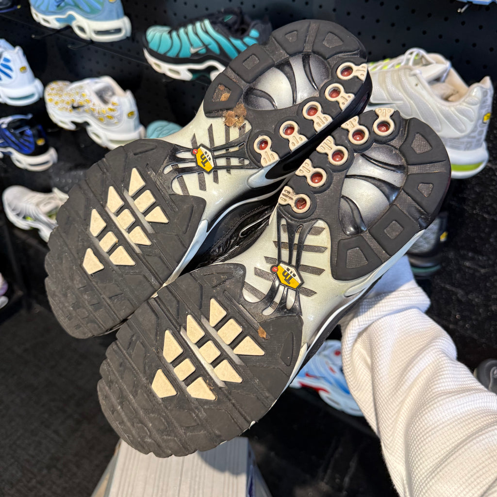 Nike Air Max Plus TN 'Shattered Ice Dark Smoke Grey Black' (Second hand)