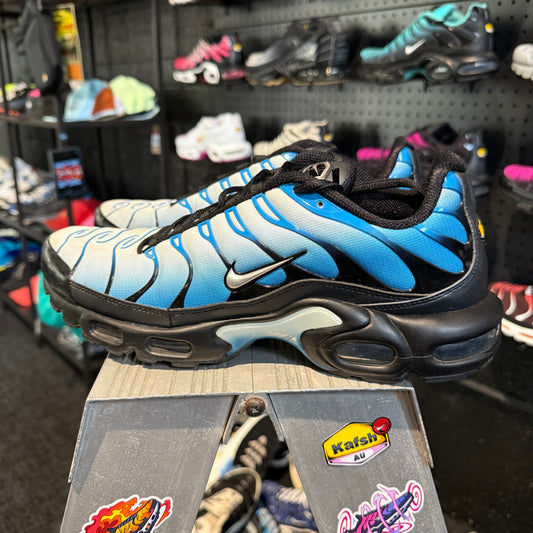 Nike Air Max Plus 'TN' Neptune (Second hand)