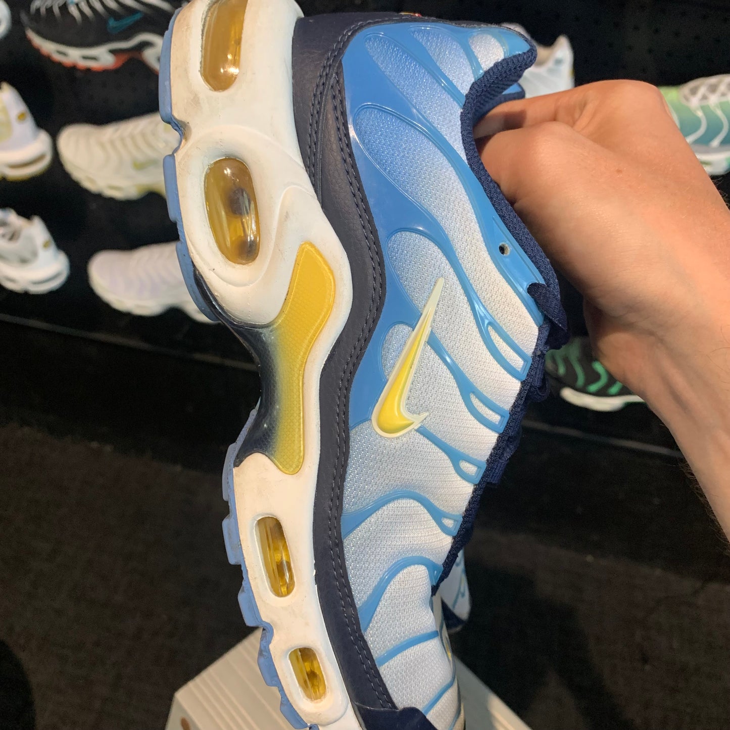 Nike Air Max Plus 'TN' Bayside 2.0 (W) (Second hand)